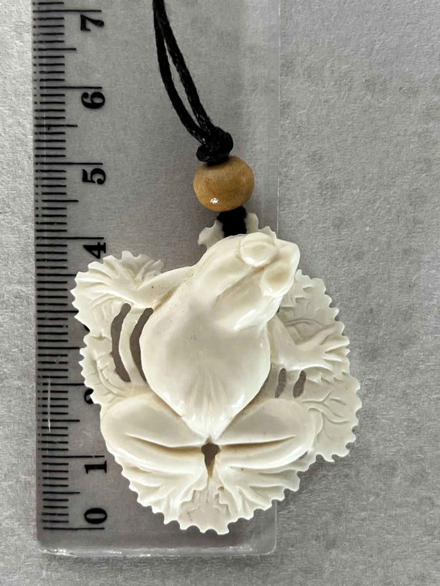 Catenine: Hand-Carved Bone Frog Pendant Necklace Frosch Knochen – Nuovo (secondo la descrizione) da Moehlin venduto da Balirain 9