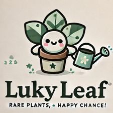 Profile image of LukyLeaf