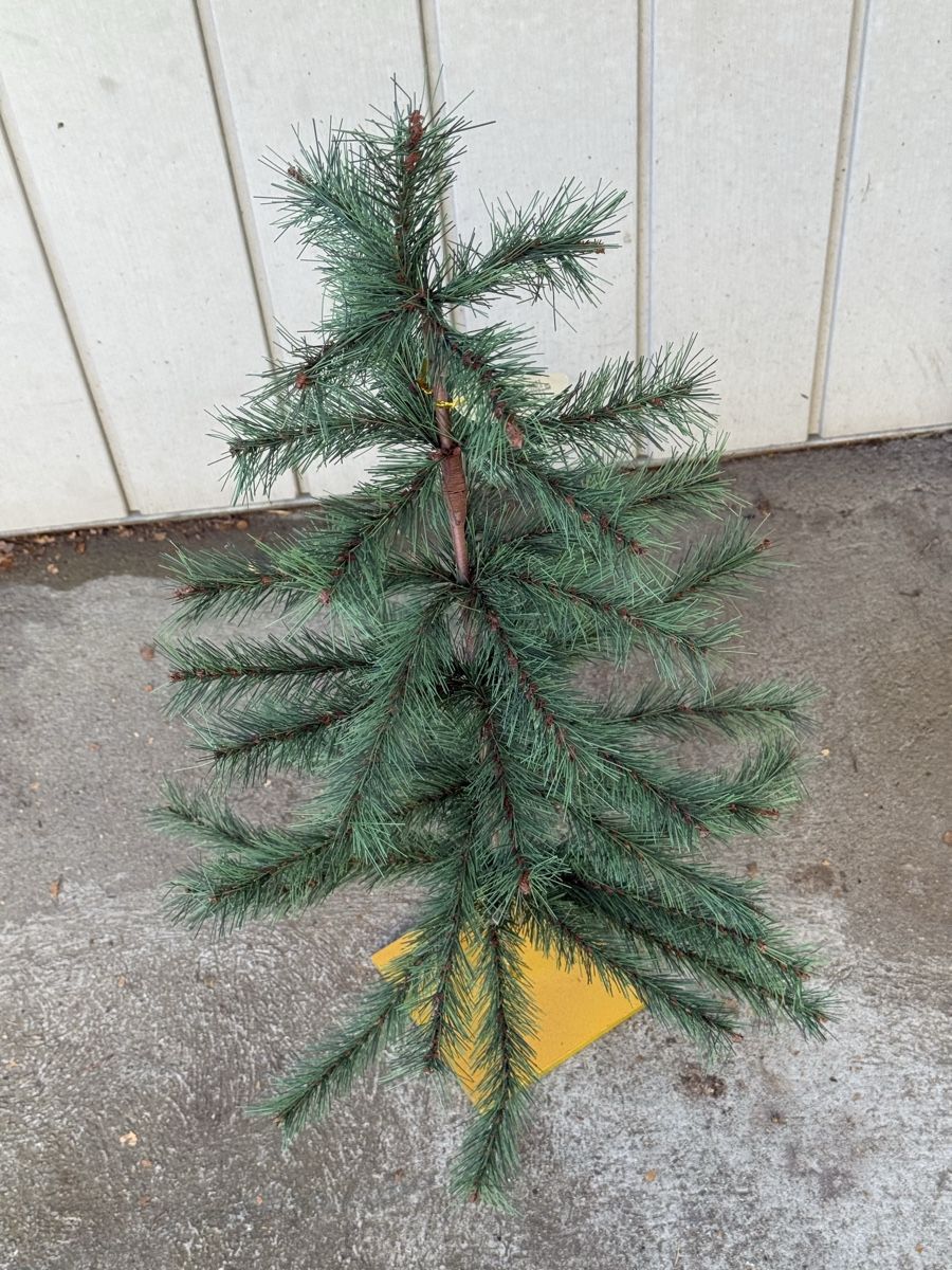 Weihnachtsbaum, knstlich, 80 cm gro! (51) (Neu (gemss  Beschreibung)) in Ostermundigen fr CHF 40  mit Lieferung auf Ricardo  kaufen