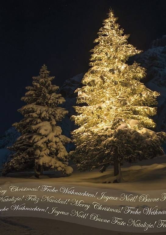 Karten: Weihnachtskarte "Tannenbaum" – Neu und originalverpackt aus Zuzwil SG von _dani92_ 1