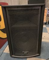 Peavey Lautsprecher pa Wave qw 218 nur ein stück
