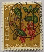 Pro Juventute Briefmarken GESTEMPELT   