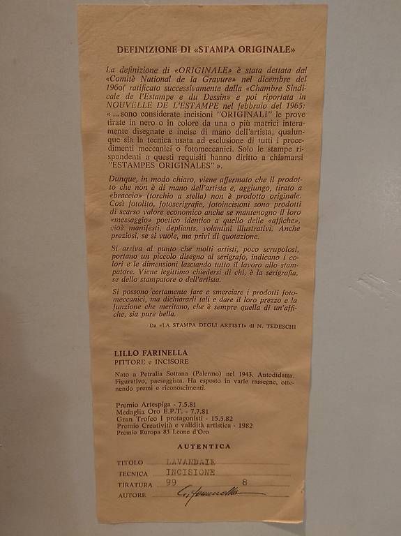 Grafica & Litografie: Lithografie _ litografia – Usato da Bremgarten AG venduto da BenjaB 3