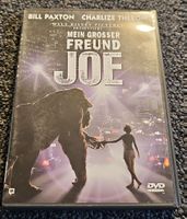 DVD Mein grosser Freund Joe (21568)