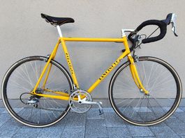 Sancineto - Stahlrenner, neu aufgebaut, Shimano 600 Tricolor