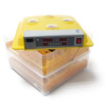 + Automatische Brutmaschine 112 Eier Inkubator Brutapparat