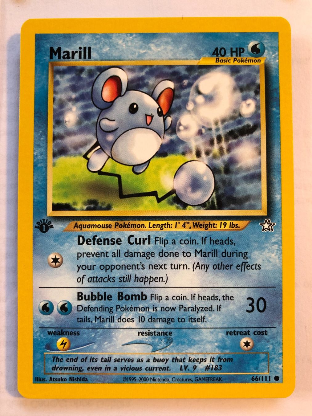 Carte collezionabili: Marill 1st Neo Genesis - MINT - ab 1.- – Usato da Giubiasco venduto da dan_pr8b
