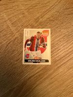 Panini coupe du monde 2026 extra Sticker Haaland argent