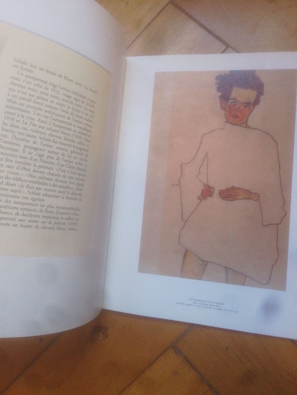 Libri: Livre Egon Schiele – Usato da Fribourg venduto da mar_z757 2