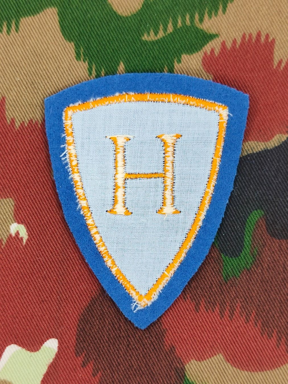 Schweizer Armee Placchette & Badge:  Funktionsabzeichen Hospitalisationsoffizier Ord. 1972, V2 – Usato da Bauma venduto da SwissMilitaria 1
