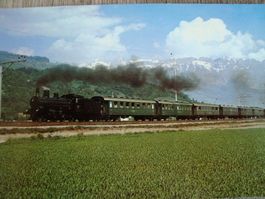 SBB B 3/4 1367 mit historischen Wagen am 14.5.1981