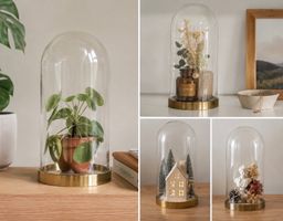 Cloche en verre avec base - 19cm hauteur