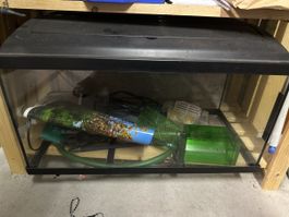 Aquarium Glas mit Zubeh. Gebrauchter Zustand 60cm