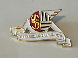 1 Pin TV Felsenau Bremgarten