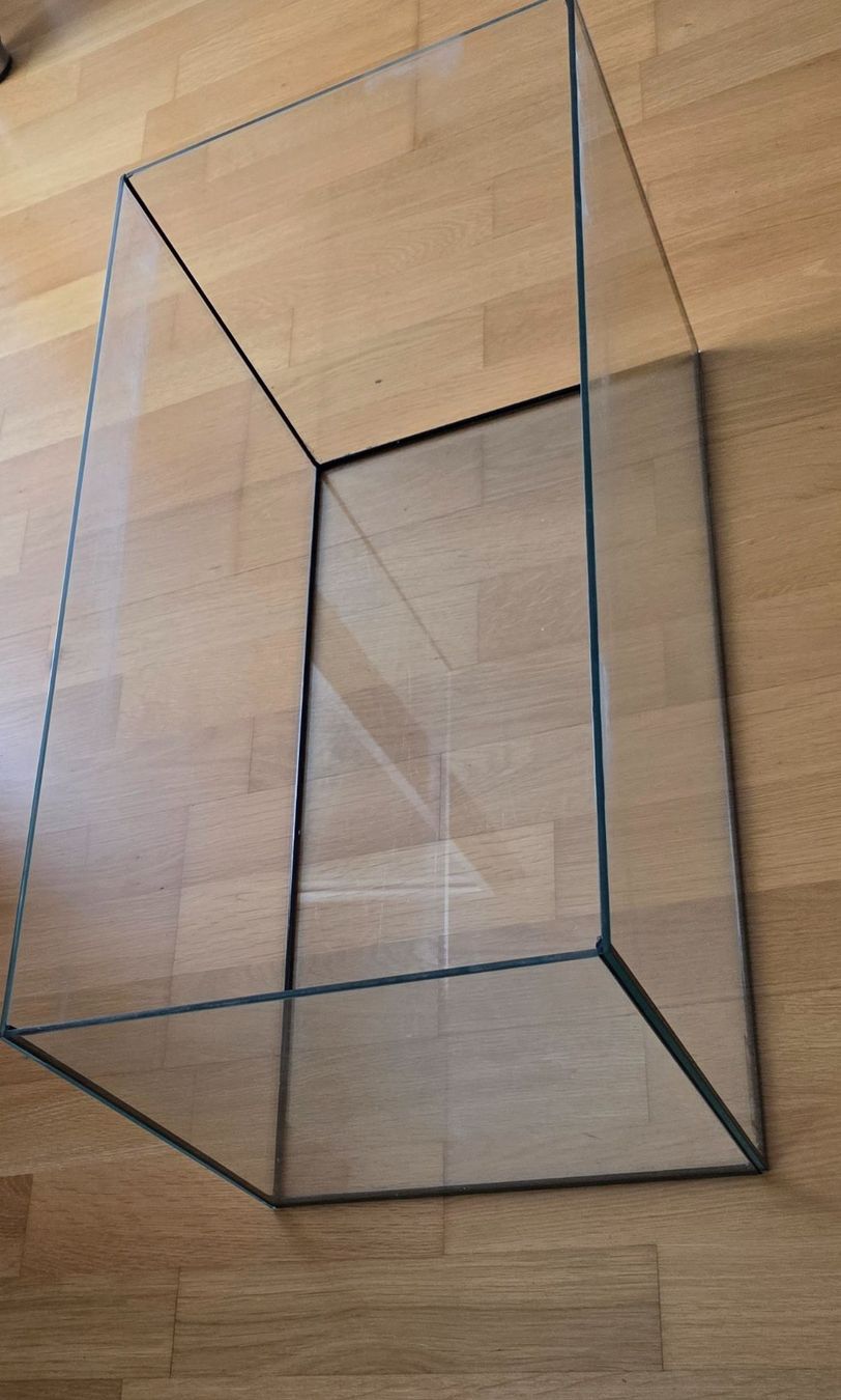 Terrario: Glasbecken, Terrarium – Usato da Zürich venduto da Lemon007 1
