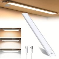 20cm LED Unterbauleuchte Bewegungsmelder USB Batterie Leiste