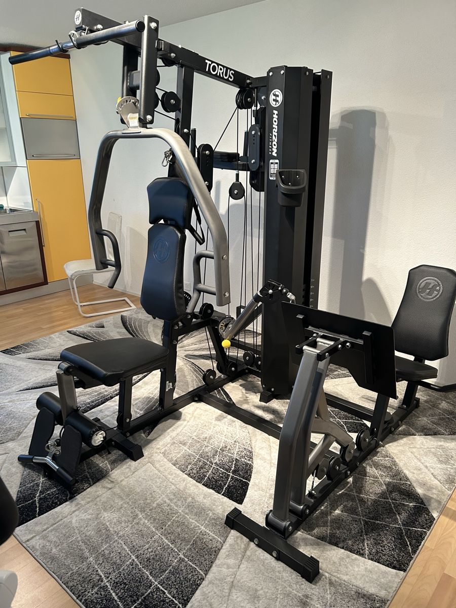 Horizon Hometrainer: Kraftstation Horizon Torus 5 – Usato da Bellach venduto da amc1 2