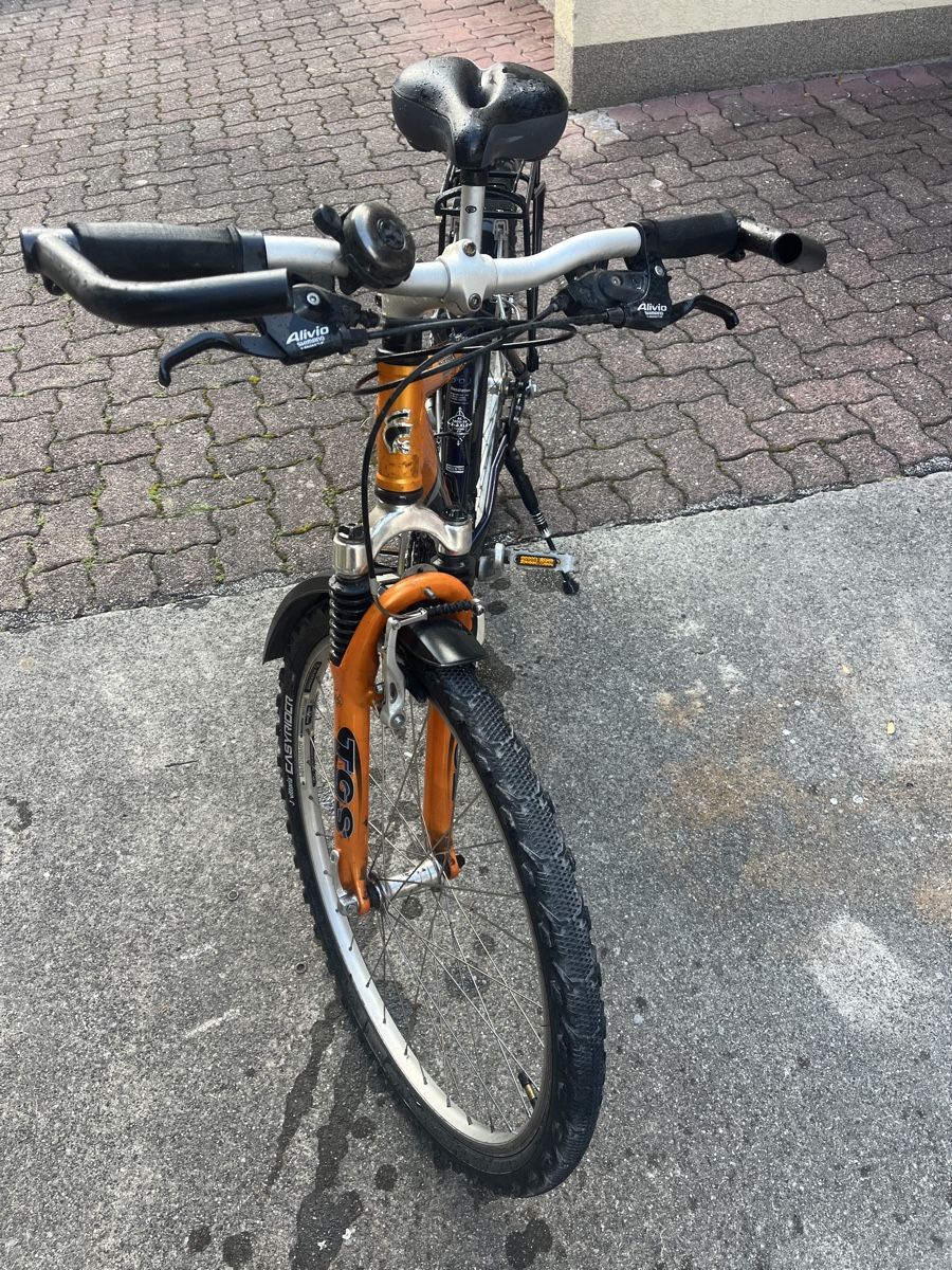 Biciclette: Damen-Mountainbike – Usato da Ruggell venduto da elm_lq87 2