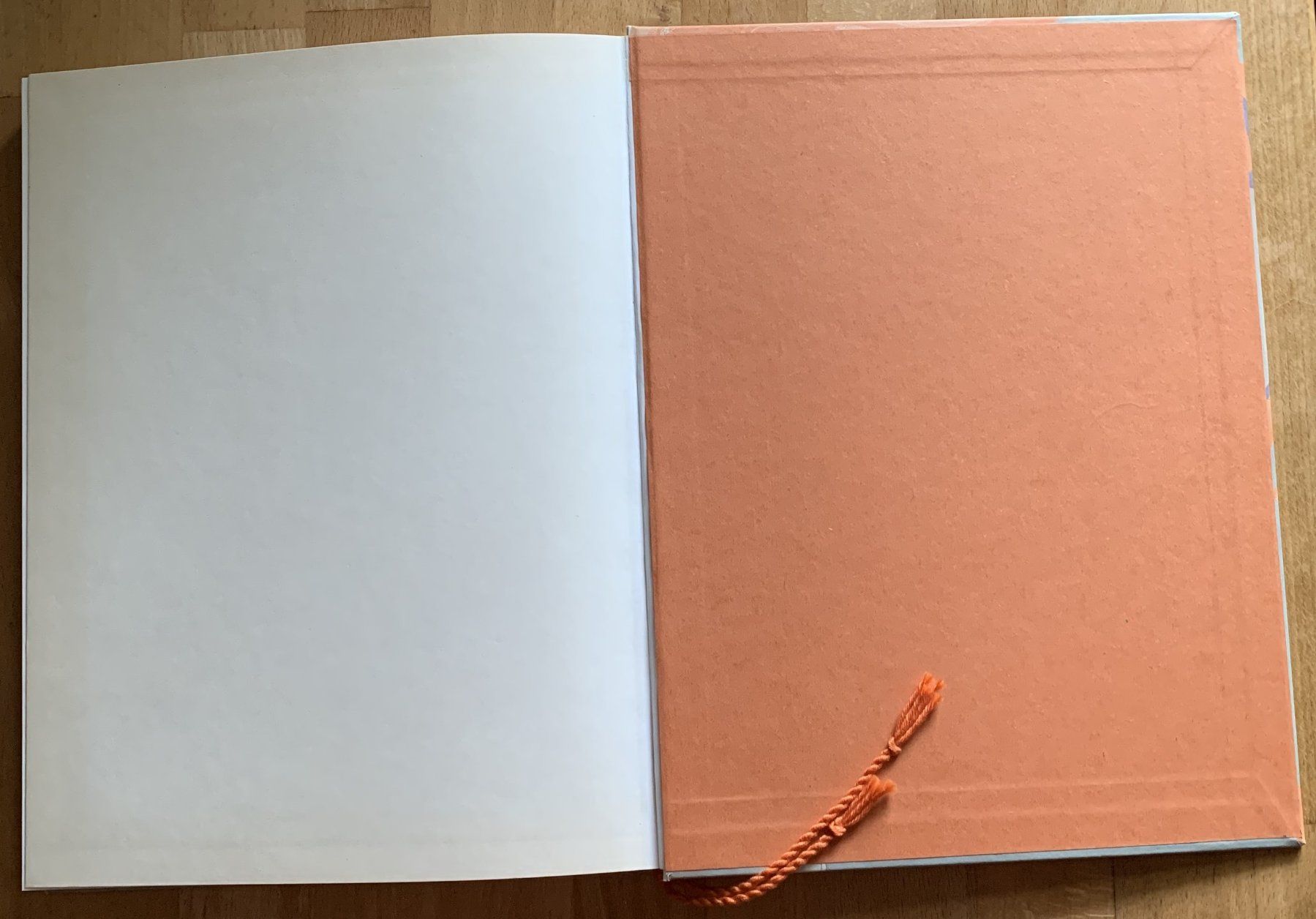 Libri: Notizbuch - Skizzenbuch – Nuovo (secondo la descrizione) da Birsfelden venduto da Emporio82 2