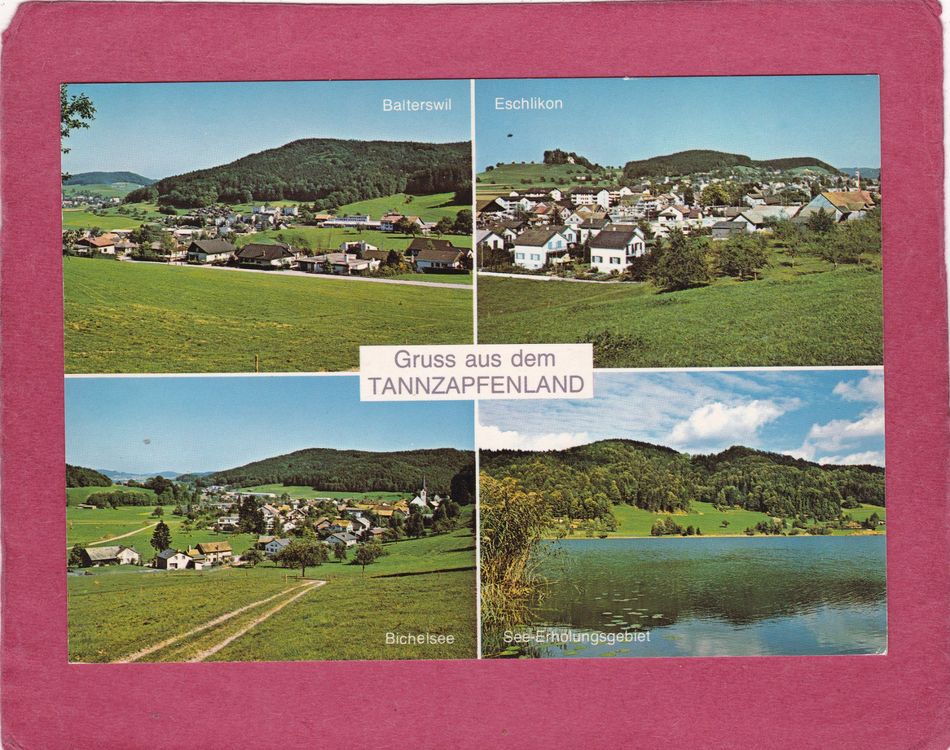 tannzapfenland-balterswil-eschlikon-bichelsee-gebraucht-in-herisau