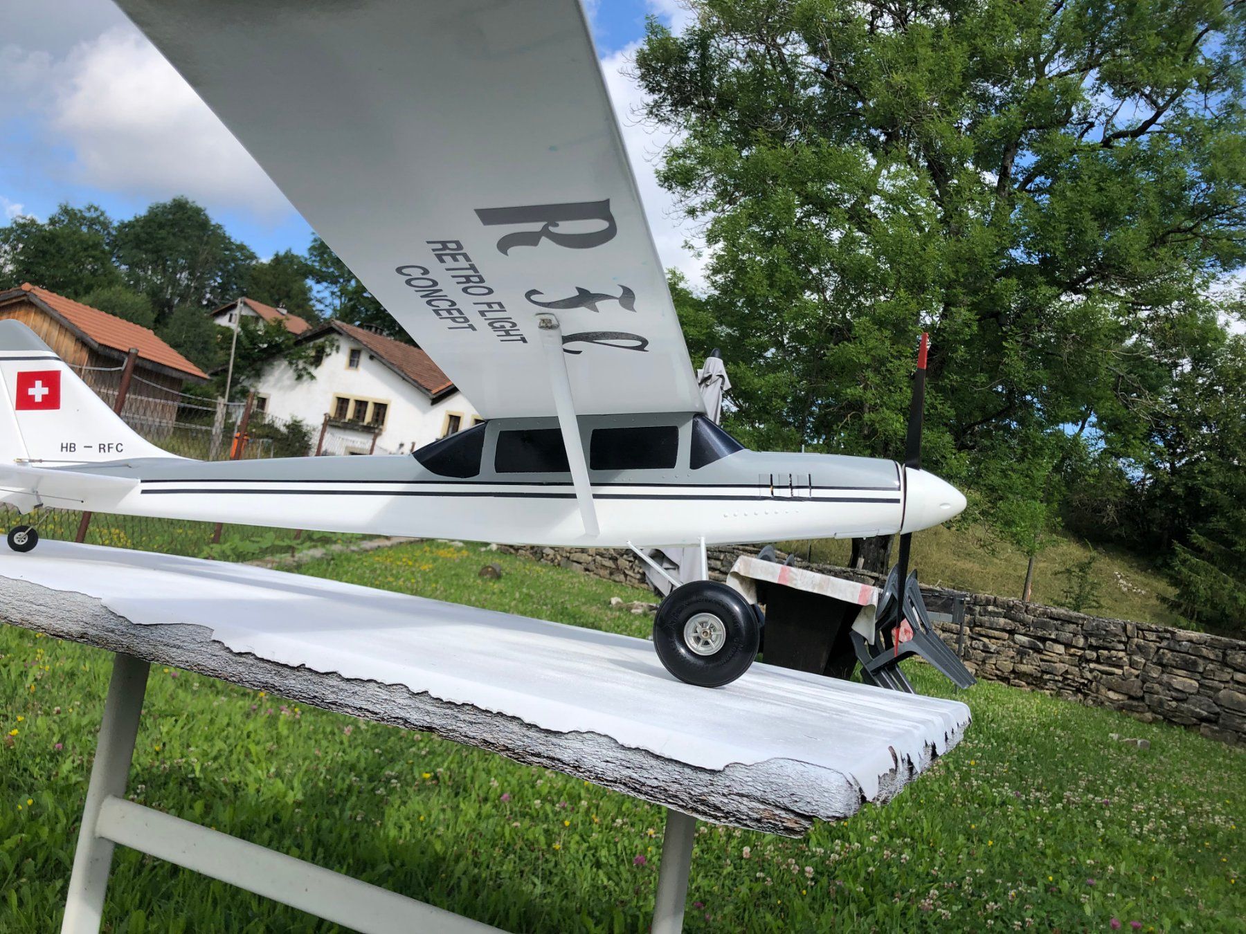 Modellismo RC: Avion multi rôle – Nuovo (secondo la descrizione) da Les Bois venduto da Nanouu0 2