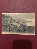 Sennhütte zwischen Rigi-Kaltbad und First 1904