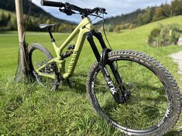Canyon Torque Mullet CF 8 2022