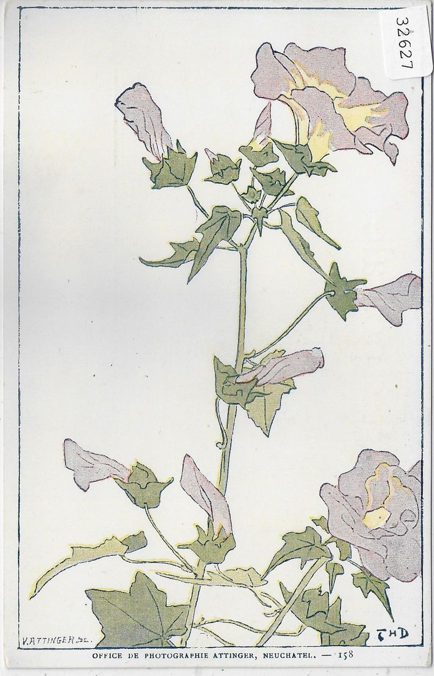 Cartoline postali: Blumen - Künstler: Attinger – Usato da Ettingen venduto da Kartenplanet