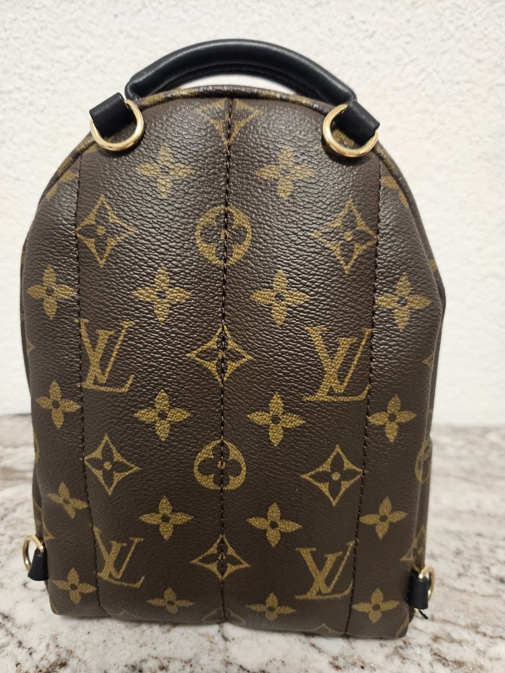 Louis Vuitton Zaini: Louis Vuitton Palm Springs mini – Nuovo (secondo la descrizione) da Ottenbach venduto da RaRo 3