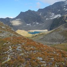 Profile image of Sirwoltesee