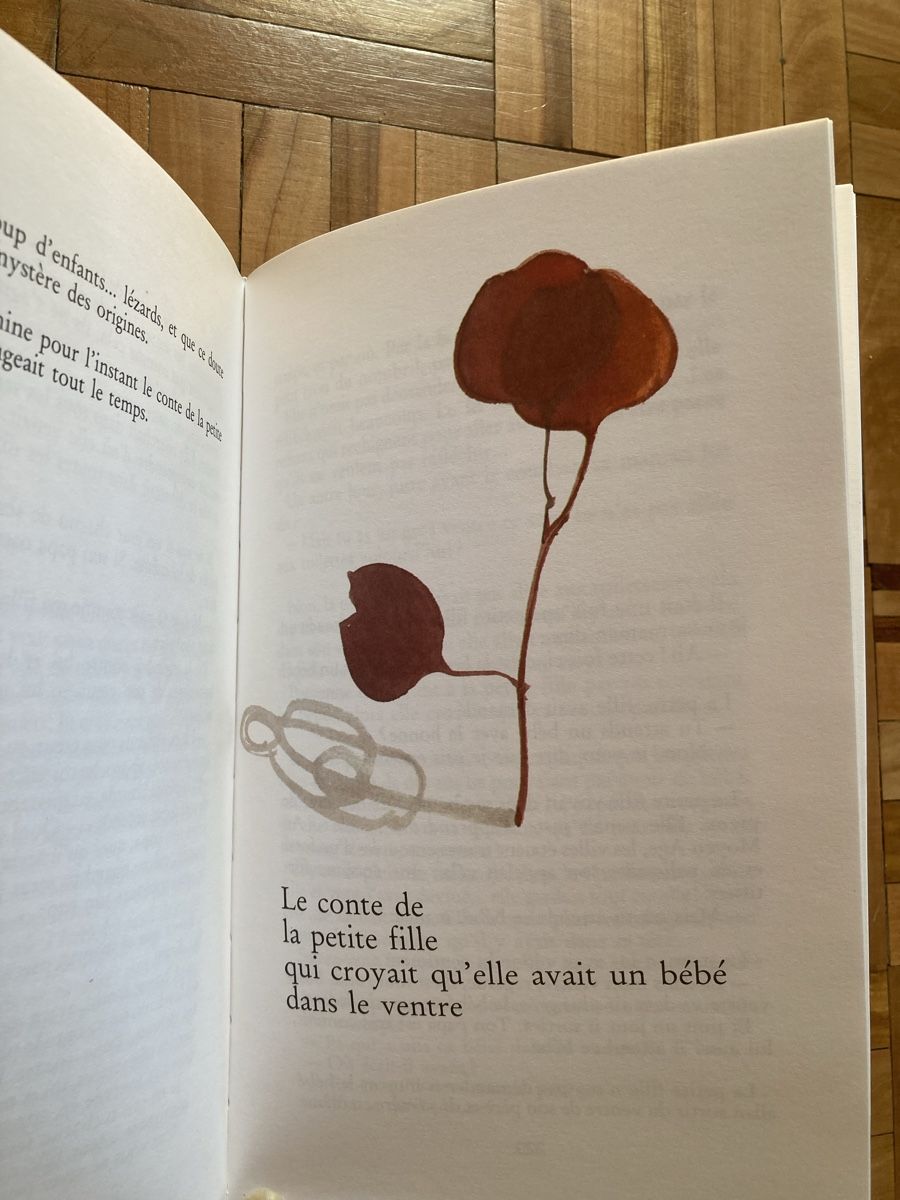 Libri: Livre de contes originaux – Nuovo e nell'imballaggio originale da Ardon venduto da hel_2sxp 3