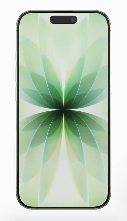 Telefoni cellulari / Smartphones: iPhone 17 256gb – Usato da Locarno venduto da Pasky98