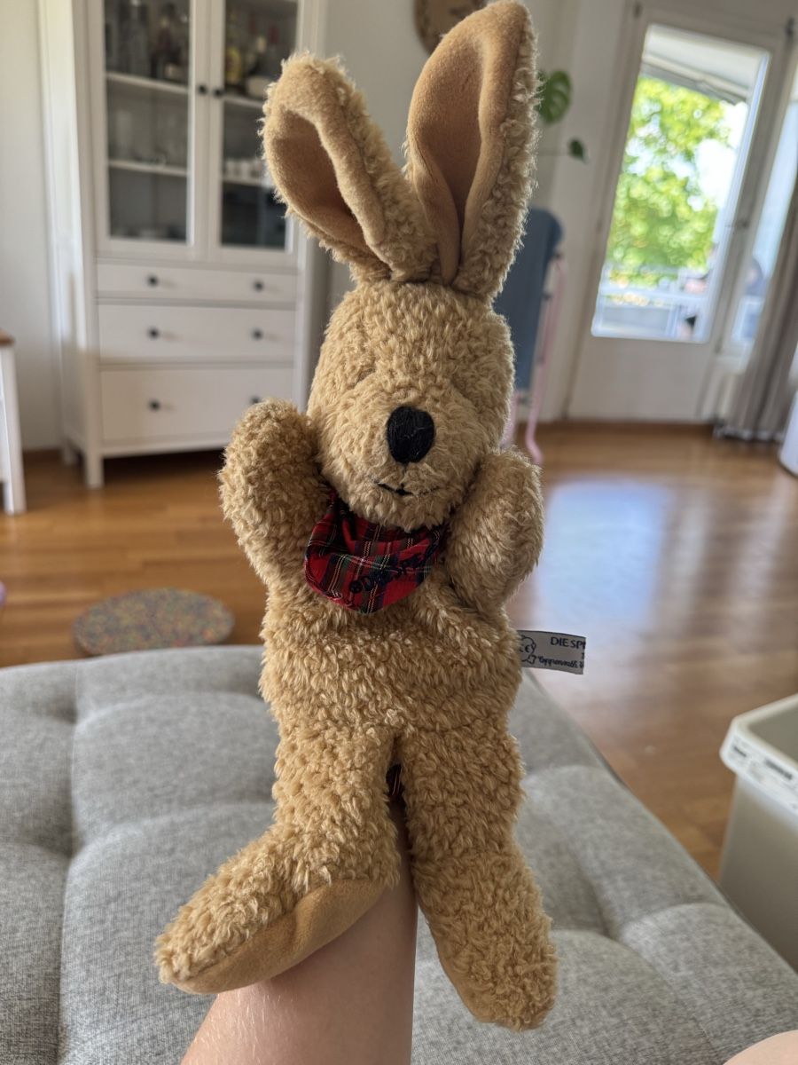 Giocattoli: Felix Handpuppe - Spiegelburg  – Usato da Dierikon venduto da FraeuleinMaus17