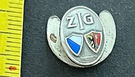 Z/G, Zürcher Wappen /Skiclub-Knopfanstecker Vintage Original