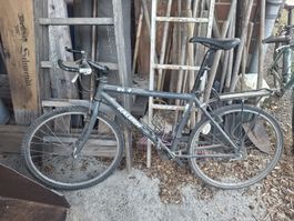 velos
