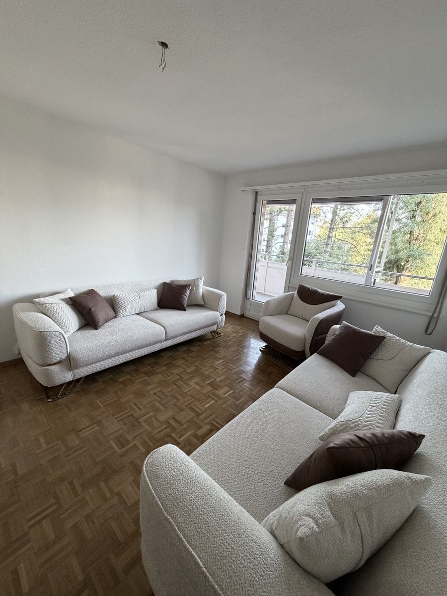 Sofas: DRINGEND: Komplettes Wohnzimmer-Set 2 Schlafsofas NEU – Neuf (Voir description) à Zürich par fir_h2dn