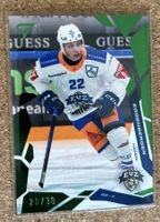 EV Zug Green Parallel Nando Eggenberger 20/30