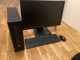 PC Bundle HP EliteDesk 800 G3 SFF - 16 GB - Windows 11