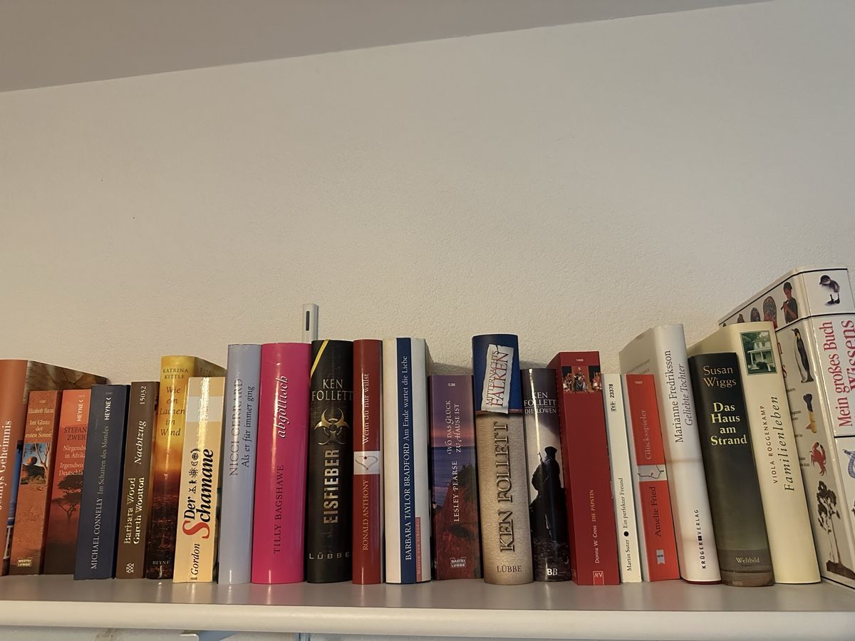 Libri: Diverse Romane Belletristik bis 100 Stk – Usato da Zürich venduto da Tina510