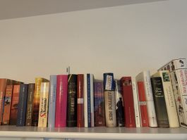 Diverse Romane Belletristik bis 100 Stk