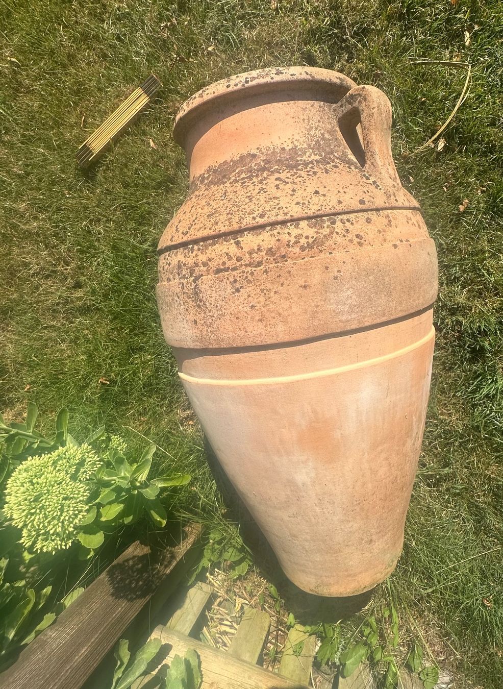 Pots de fleurs: Amphore Terracotta,  winterhart – D'occasion à Winterthur par BaHu 2