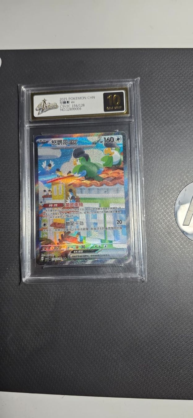 Pokémon Sammelbilder & Trading cards: Pokemon Squawkabilly SAR - Chinese – Gebraucht aus Sierre von NabboNatale