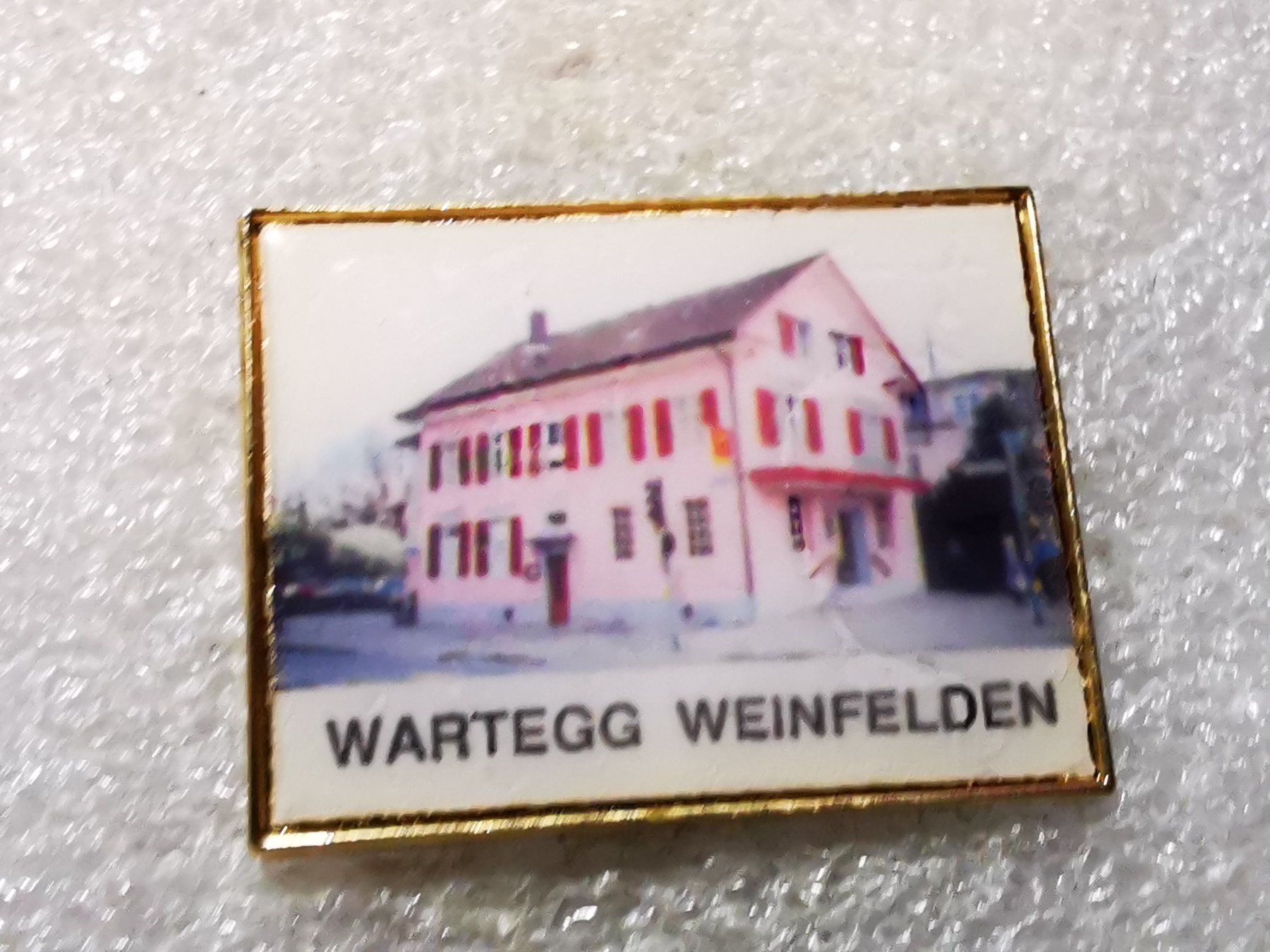 Placchette & Badge: Ansteckpin 81: Wartegg Weinfelden – Usato da Oppligen venduto da Pin-Fall-Shop