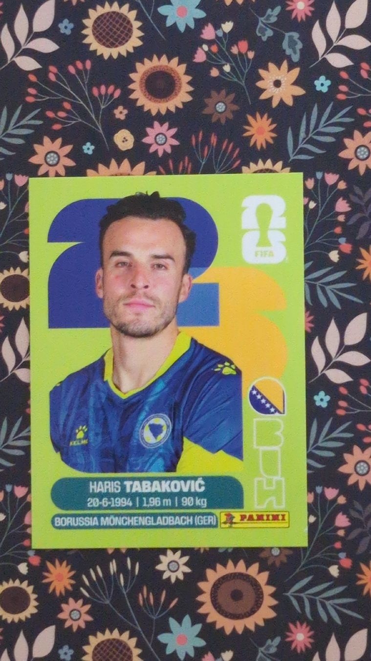 Panini Carte collezionabili: BIH 20 - PANINI - FIFA WM 2026 – Nuovo (secondo la descrizione) da Bauma venduto da tobiaskl