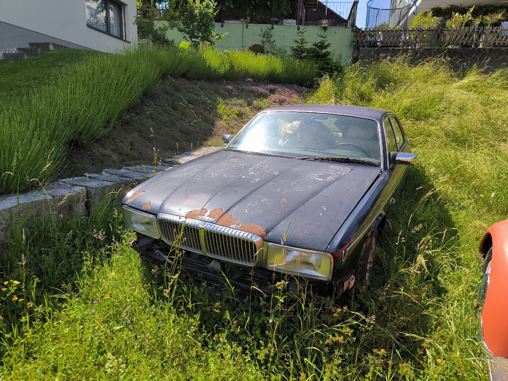 Jaguar Automobili: Jaguar Daimler XJ40 – Difettoso da Bütschwil venduto da chromenbueb