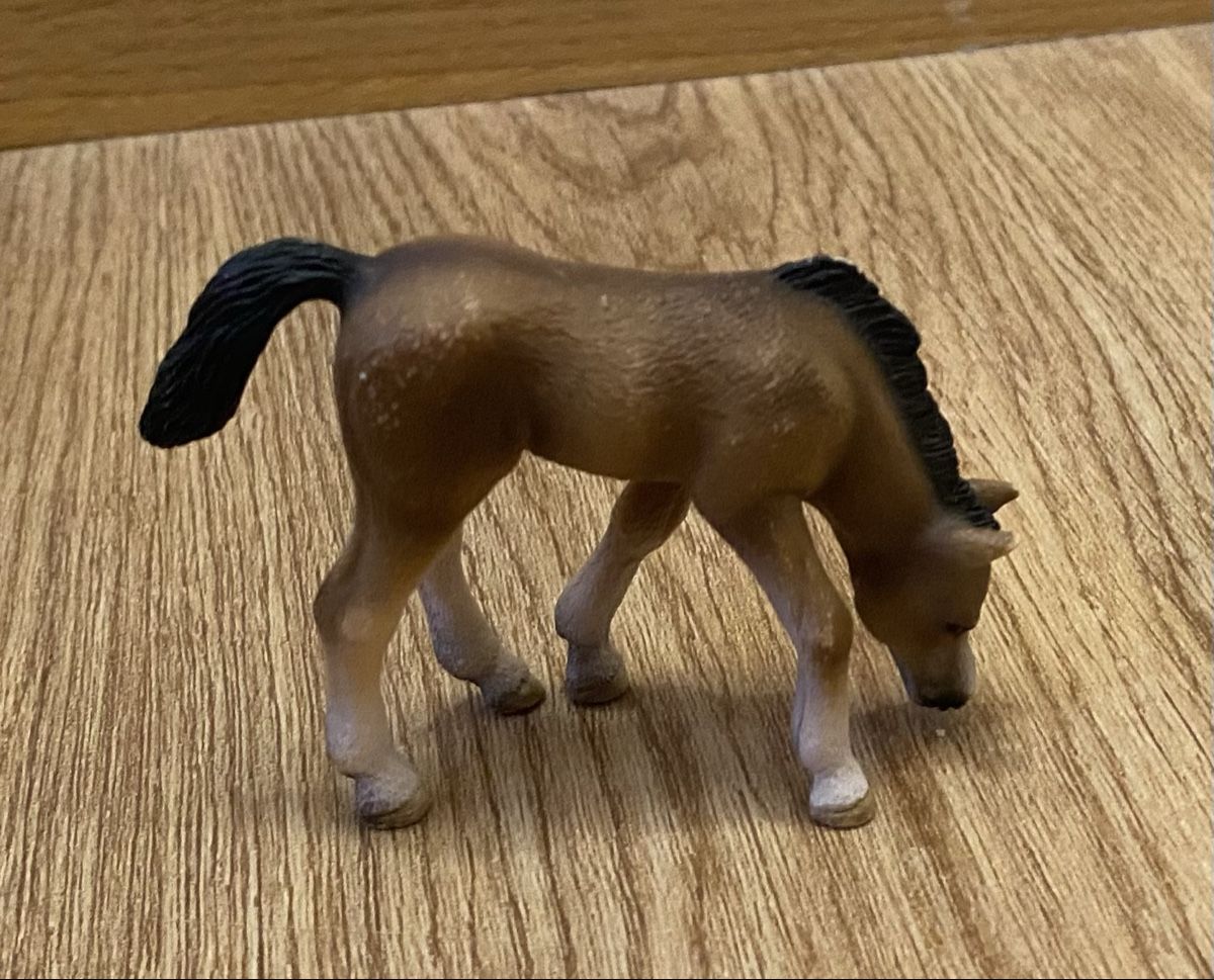 Schleich Giocattoli: Schleich Fohlen braun grasend – Usato da Flawil venduto da Vera44