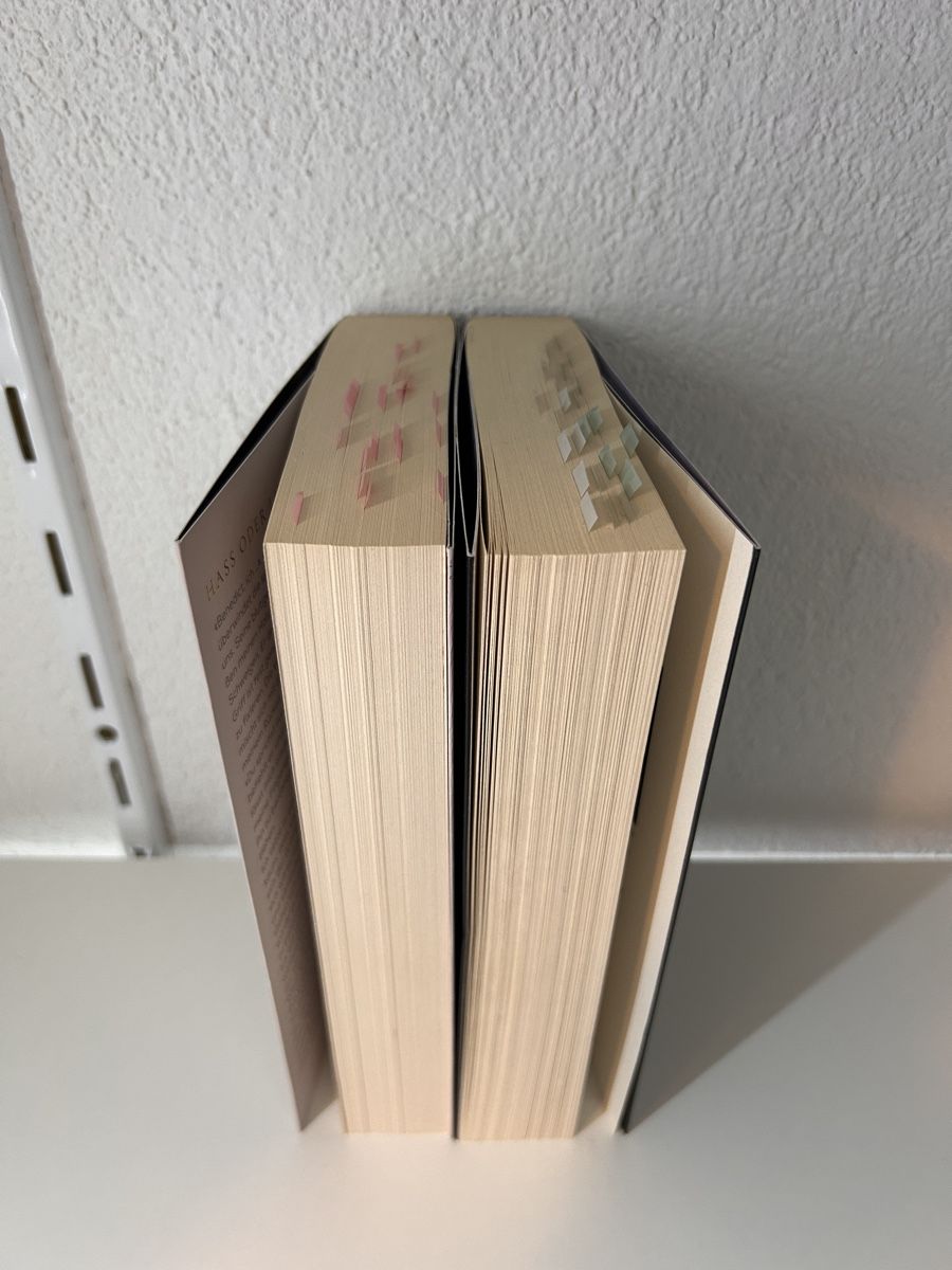 Libri: When the King falls, Band 1&2 – Usato da Wila venduto da lyn_t5f2 2