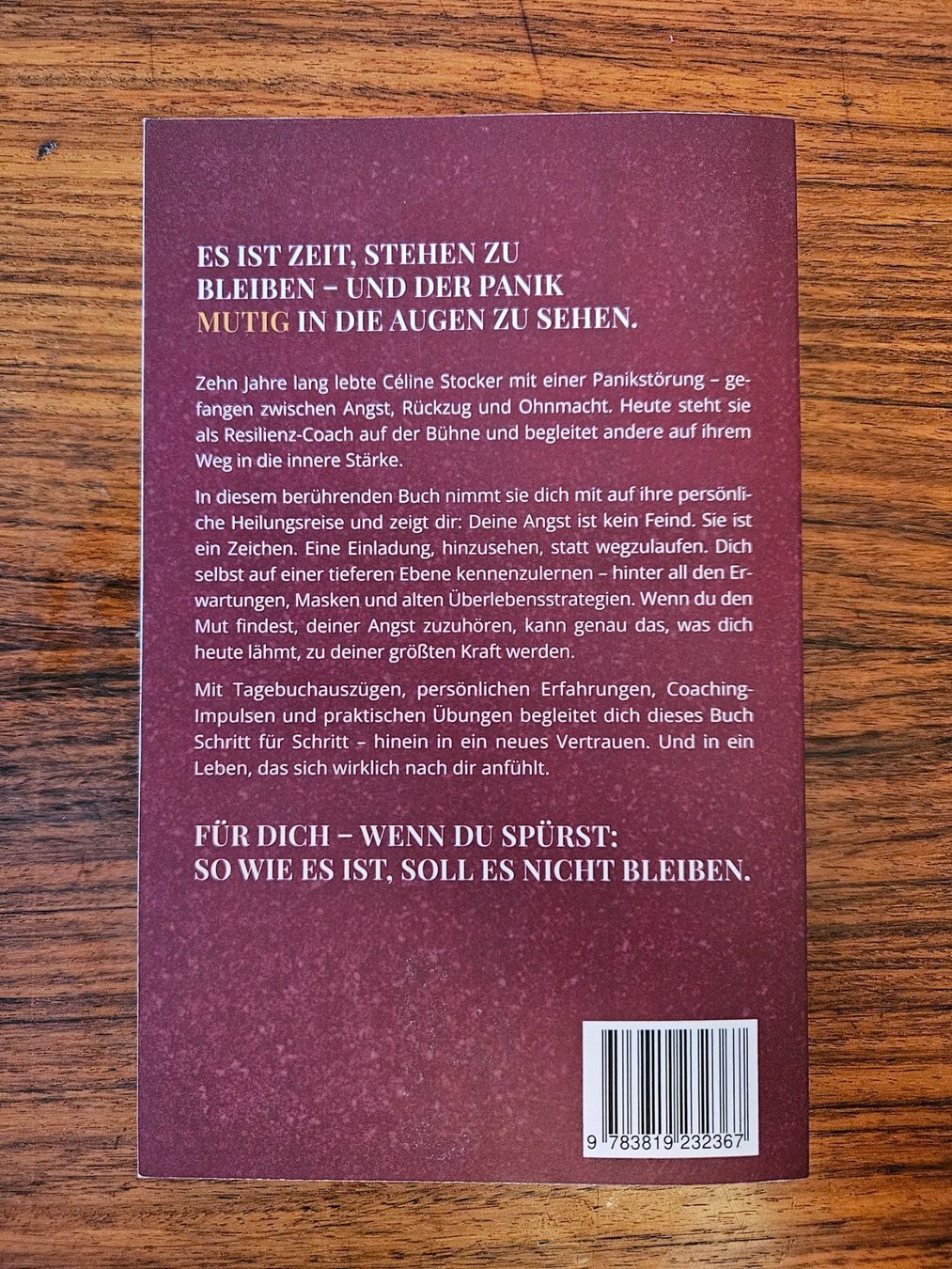 Libri: Mut zur Panik von Celine Stocker*** – Nuovo (secondo la descrizione) da Wettingen venduto da Beo 3