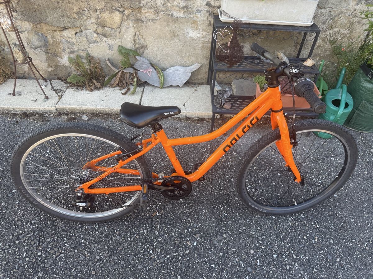 Naloo Biciclette: Naloo Chameleon 24 Zoll – Usato da stallikon venduto da Guetze1990