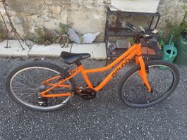 Naloo Chameleon 24 Zoll
